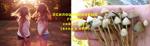 соль курить ск Аркадак