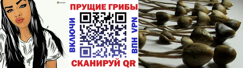 Псилоцибиновые грибы мухоморы  Орёл 
